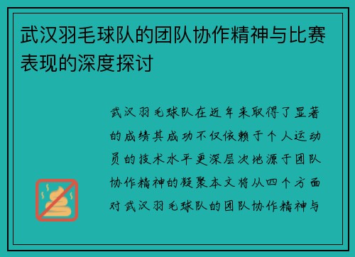武汉羽毛球队的团队协作精神与比赛表现的深度探讨