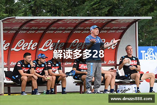 解读多多28